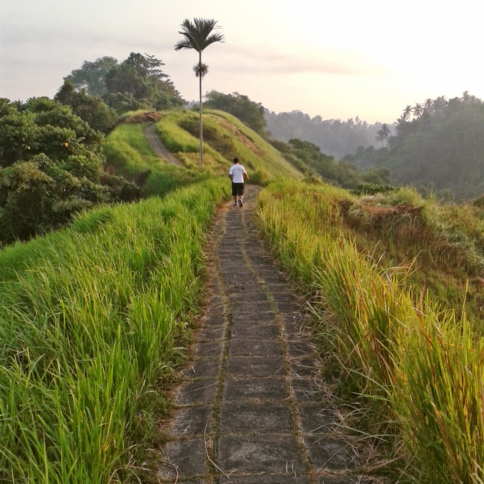 The Bali Review Ubud’s Best Quiet Destination  