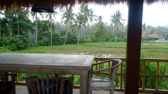 The Bali Review Ubud’s Best BreakfastSpots  