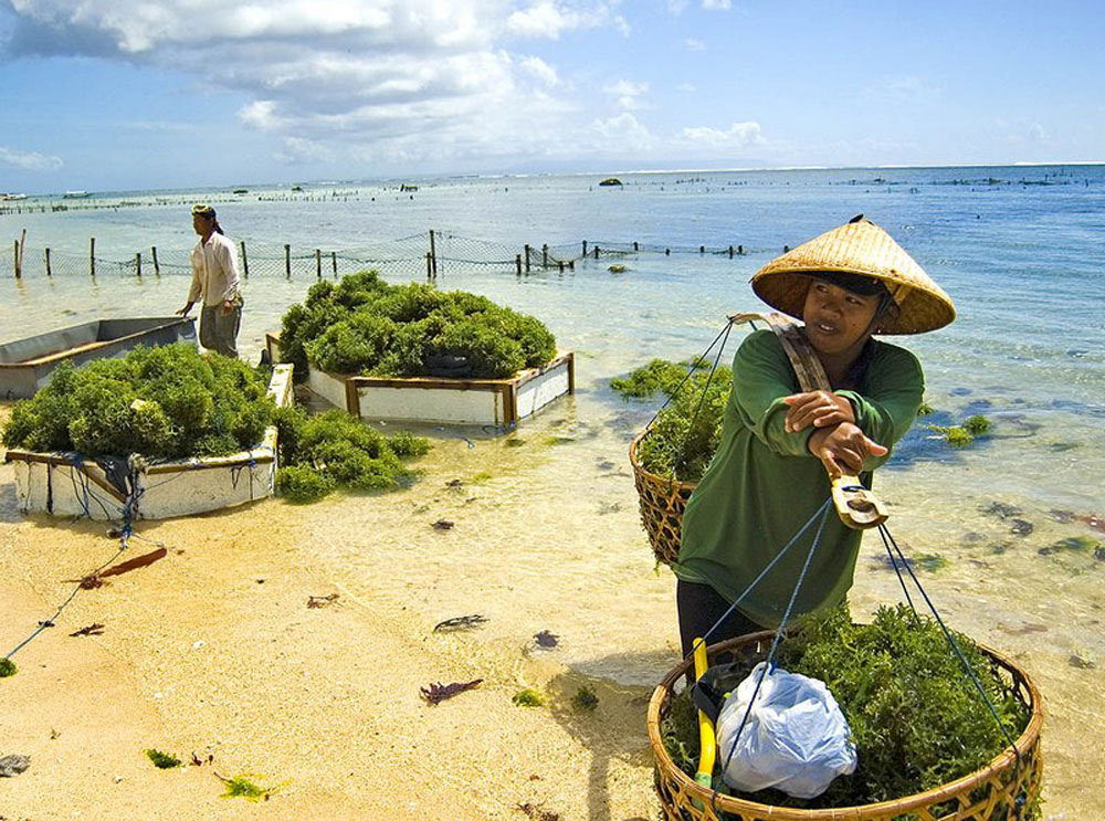 The Bali Review Nusa Lembongan’s Best Thing to Do  