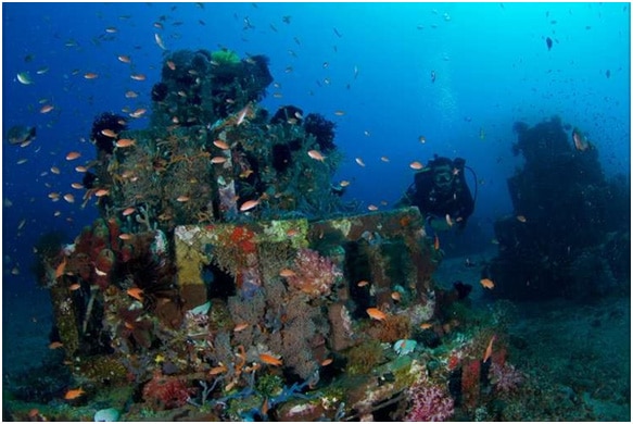 The Bali Review Amed’s Best Diving Spots  